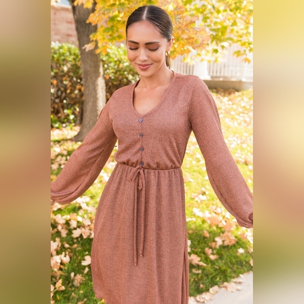 Long Sleeved Flowy Dress